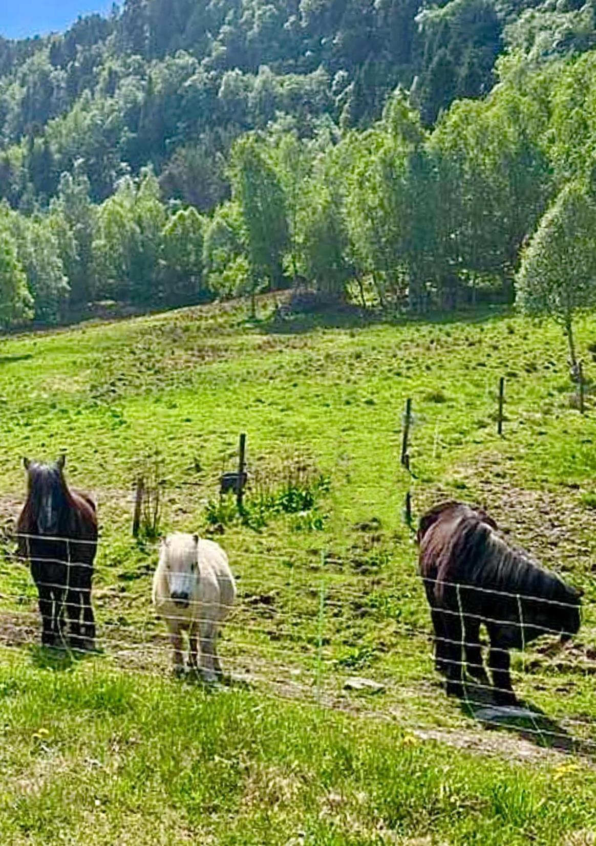 Willa Vika Minihouse Kristiansund Zewnętrze zdjęcie